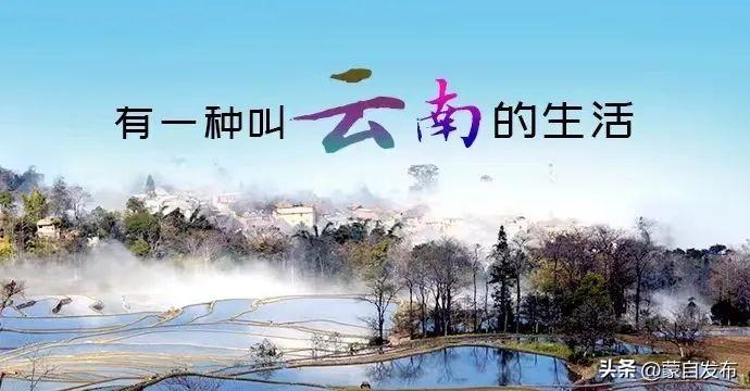 蒙自名特小吃评比结果出炉！快来看是否有你的“回味无穷”……-北京餐饮网