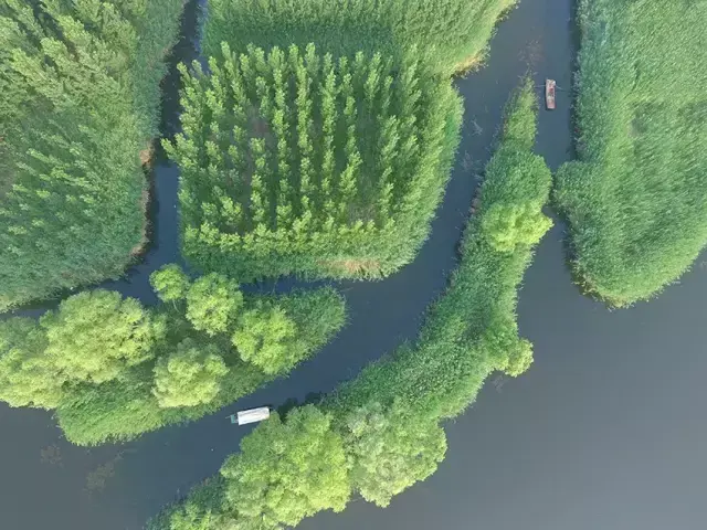 白洋淀11大经典特色美食，这个夏天来雄安，燃爆你的味蕾-北京餐饮网